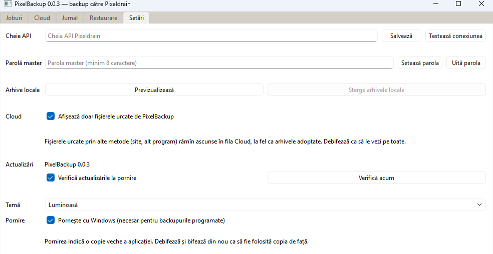 PixelBackup – ecranul Setări: cheie API, parolă master, actualizări automate, pornire cu Windows